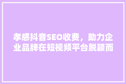 孝感抖音SEO收费，助力企业品牌在短视频平台脱颖而出