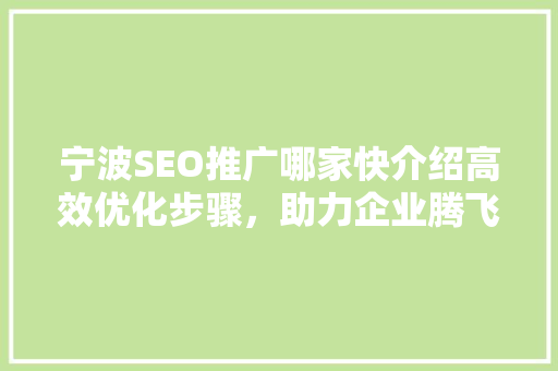 宁波SEO推广哪家快介绍高效优化步骤，助力企业腾飞