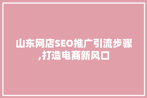 山东网店SEO推广引流步骤,打造电商新风口 搜狗优化