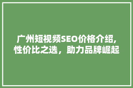 广州短视频SEO价格介绍,性价比之选，助力品牌崛起