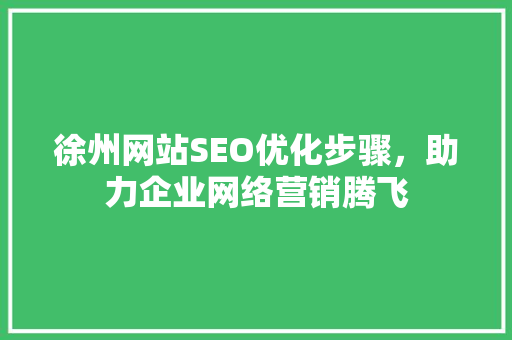 徐州网站SEO优化步骤，助力企业网络营销腾飞 小程序开发