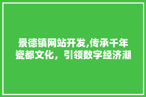 景德镇网站开发,传承千年瓷都文化，引领数字经济潮流