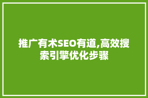 推广有术SEO有道,高效搜索引擎优化步骤