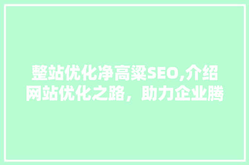 整站优化净高粱SEO,介绍网站优化之路，助力企业腾飞 网站开发