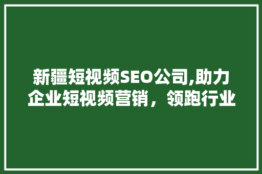 新疆短视频SEO公司,助力企业短视频营销，领跑行业前沿 360搜优化