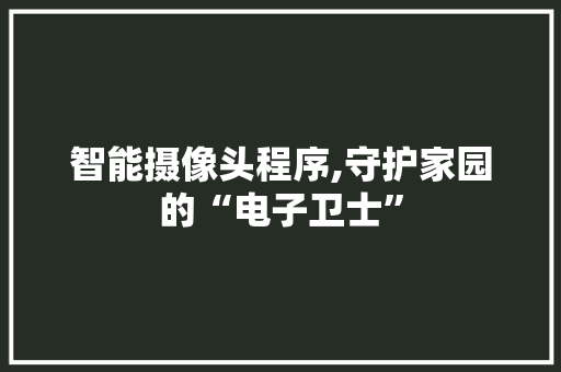 智能摄像头程序,守护家园的“电子卫士”