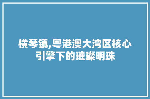 横琴镇,粤港澳大湾区核心引擎下的璀璨明珠 网站开发