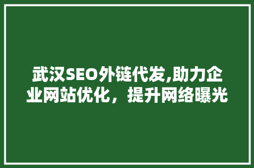 武汉SEO外链代发,助力企业网站优化，提升网络曝光度
