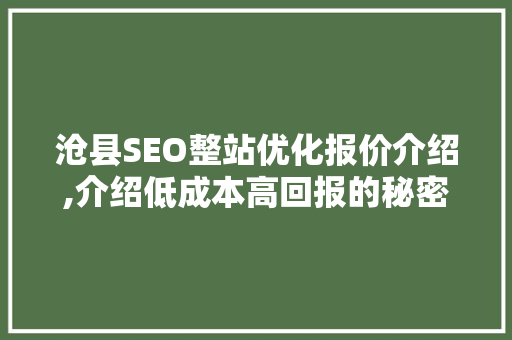 沧县SEO整站优化报价介绍,介绍低成本高回报的秘密武器