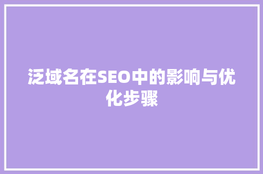泛域名在SEO中的影响与优化步骤
