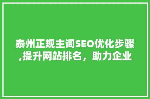 泰州正规主词SEO优化步骤,提升网站排名，助力企业腾飞 网站优化