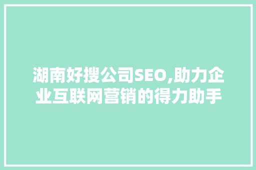 湖南好搜公司SEO,助力企业互联网营销的得力助手