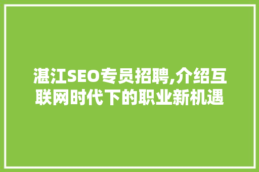 湛江SEO专员招聘,介绍互联网时代下的职业新机遇 网站优化