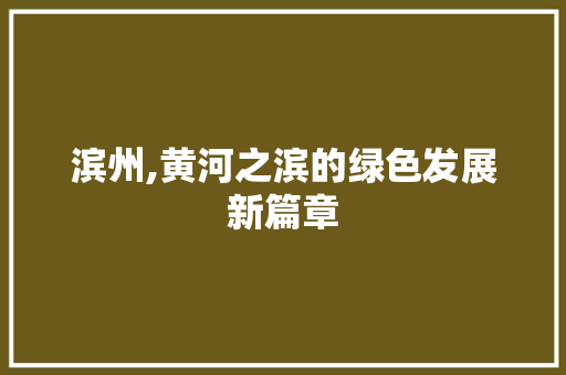 滨州,黄河之滨的绿色发展新篇章 小程序开发
