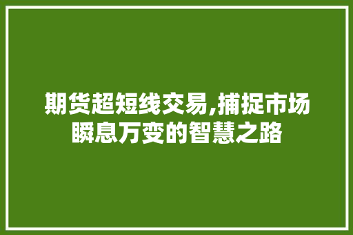 期货超短线交易,捕捉市场瞬息万变的智慧之路