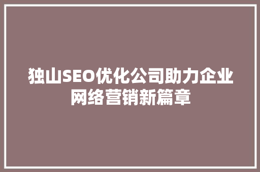 独山SEO优化公司助力企业网络营销新篇章 seo技术