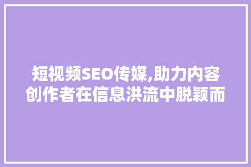 短视频SEO传媒,助力内容创作者在信息洪流中脱颖而出 网站优化