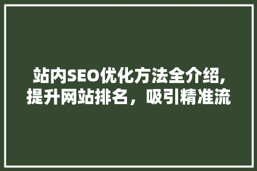 站内SEO优化方法全介绍,提升网站排名，吸引精准流量
