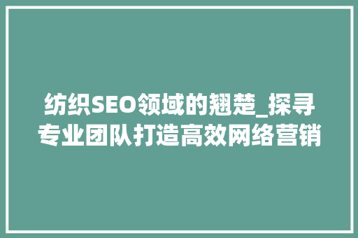 纺织SEO领域的翘楚_探寻专业团队打造高效网络营销之路 小程序开发