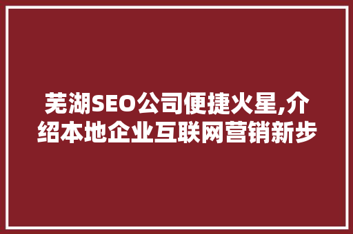 芜湖SEO公司便捷火星,介绍本地企业互联网营销新步骤 网站优化