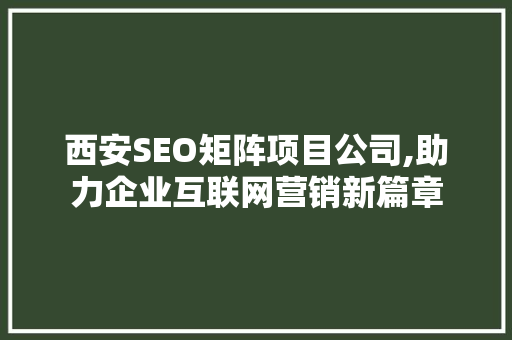 西安SEO矩阵项目公司,助力企业互联网营销新篇章