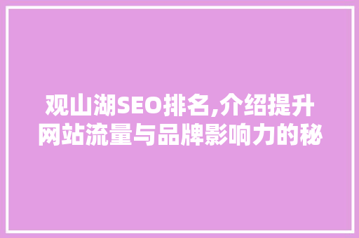 观山湖SEO排名,介绍提升网站流量与品牌影响力的秘密武器 360搜优化