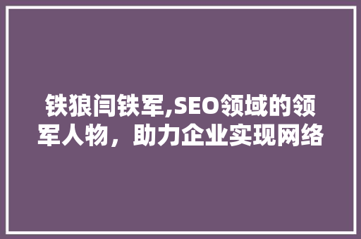 铁狼闫铁军,SEO领域的领军人物，助力企业实现网络营销新突破 网站优化