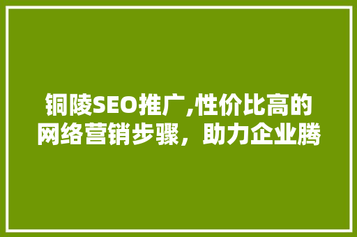 铜陵SEO推广,性价比高的网络营销步骤，助力企业腾飞 头条优化