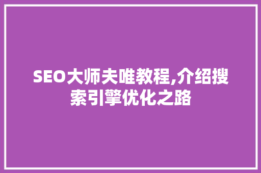 SEO大师夫唯教程,介绍搜索引擎优化之路