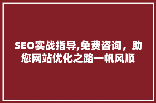SEO实战指导,免费咨询，助您网站优化之路一帆风顺 英文谷歌算法