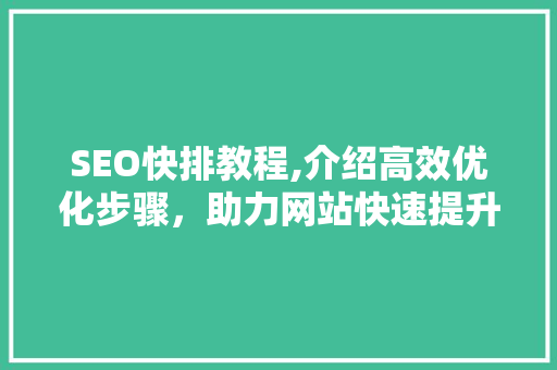 SEO快排教程,介绍高效优化步骤，助力网站快速提升排名 网站优化