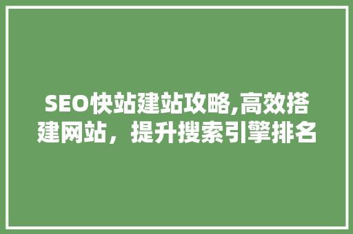 SEO快站建站攻略,高效搭建网站，提升搜索引擎排名 AI技术学习