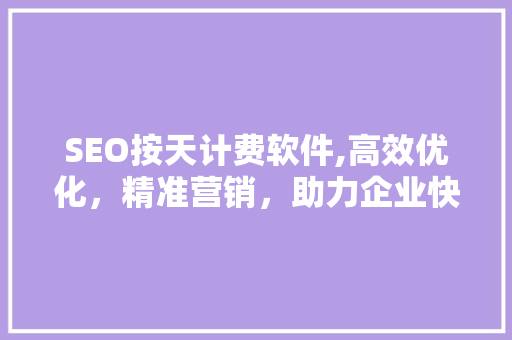 SEO按天计费软件,高效优化，精准营销，助力企业快速崛起