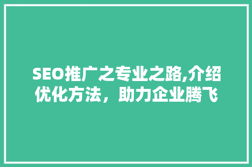 SEO推广之专业之路,介绍优化方法，助力企业腾飞
