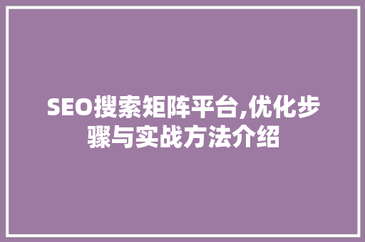 SEO搜索矩阵平台,优化步骤与实战方法介绍