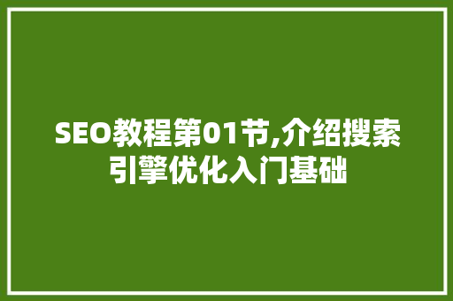 SEO教程第01节,介绍搜索引擎优化入门基础 小程序开发 SEO教程第01节,介绍搜索引擎优化入门基础 小程序开发