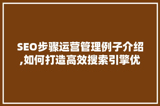 SEO步骤运营管理例子介绍,如何打造高效搜索引擎优化方法