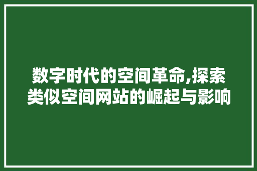数字时代的空间革命,探索类似空间网站的崛起与影响 数字时代的空间革命,探索类似空间网站的崛起与影响 网站优化