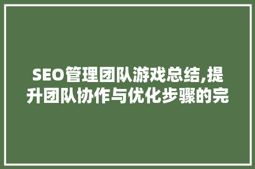 SEO管理团队游戏总结,提升团队协作与优化步骤的完美融合 AI技术学习
