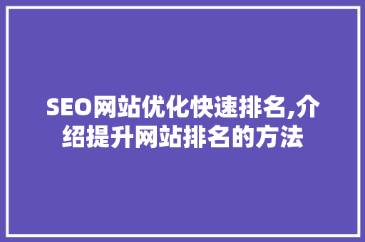 SEO网站优化快速排名,介绍提升网站排名的方法 网站开发