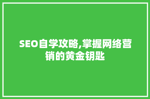 SEO自学攻略,掌握网络营销的黄金钥匙