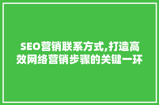 SEO营销联系方式,打造高效网络营销步骤的关键一环 网站开发