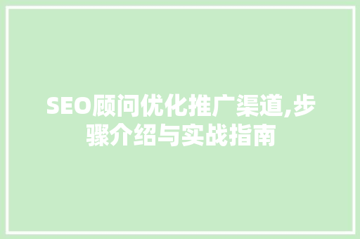 SEO顾问优化推广渠道,步骤介绍与实战指南