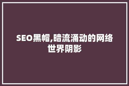 SEO黑帽,暗流涌动的网络世界阴影 小程序开发