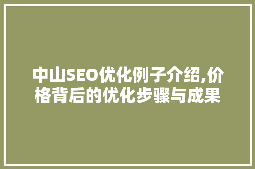 中山SEO优化例子介绍,价格背后的优化步骤与成果 网站开发