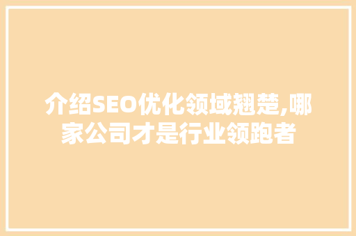 介绍SEO优化领域翘楚,哪家公司才是行业领跑者