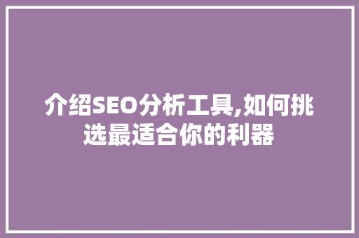 介绍SEO分析工具,如何挑选最适合你的利器 百度算法