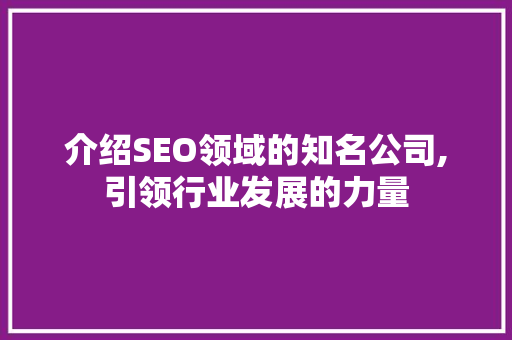 介绍SEO领域的知名公司,引领行业发展的力量