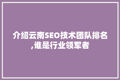 介绍云南SEO技术团队排名,谁是行业领军者