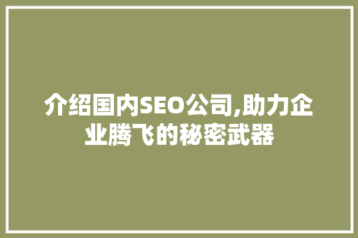 介绍国内SEO公司,助力企业腾飞的秘密武器 百度算法